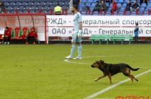"Lokomotiv" kuchuk sababli jarimaga tortildi