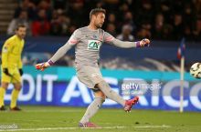 Martin Stekelenburg "Monako"da qolmaydi