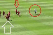 Канада аёллар терма жамоаси футболчилари муштлашиб кетишди ва ...