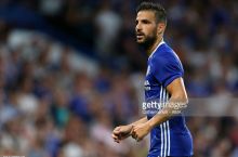 Конте Фабрегасни қўллаб-қувватламоқда