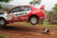 Омад итларга ҳам кулиб боқади (видео)