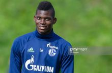 Келажак ғунчаси