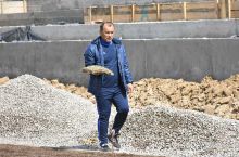 Қаршидаги "Марказий" стадионга чим ётқизишда Рўзиқул Бердиев ва футболчилар ҳам иштирок этишди ФОТО