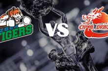 Olamsport: "Uzbek Tigers" - "China Dragons". Жангларга оид тафсилотларни кузатиб боринг!