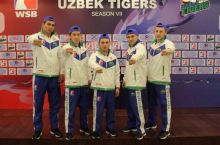 "Uzbek Tigers" "Astana Arlans"га қарши қайси таркибда рингга чиқиши мумкин?
