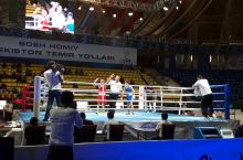 Olamsport: Bokschimizdan tezkor nokaut, bugun Istomin yangi turnirdagi ishtirokini boshlaydi va boshqa xabarlar