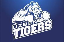 "Uzbek Tigers" O'zbekistonda "Cuba Domadores"ga qarshi kuchli tarkibda jang qiladi