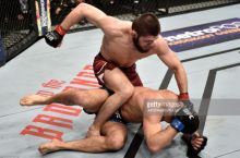 Olamsport: Xabib Nurmagomedov qachon UFCga qaytishini malum qildi, SHahrisabzda nufuzli xalqaro musobaqa yakunlandi