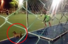 It penalti qaytarganini ko'rganmisiz? (VIDEO)