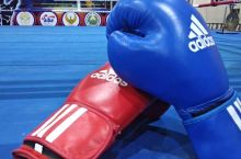 Olamsport: O'zbek boksi yulduzlari mamlakat chempionatida, kurash bo'yicha Rossiya chempionati va boshqa xabarlar