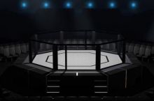 Kutganmidingiz? Nukusda MMA bo'yicha ilk O'zbekiston chempionati o'tkaziladi