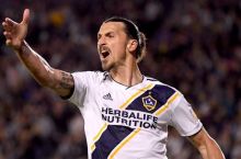 Zlatan ECHLda qanday jamoa g'alaba qozonishi mumkinligini aytdi