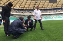 Для представителей клубов Суперлиги был организован семинар по уходу за газоном