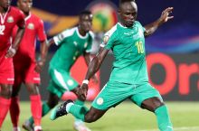 Afrika Millatlar Kubogi-2019. Senegal Keniyani, Jazoir esa Tanzaniyani yirik hisobda mag'lub etdi