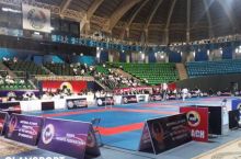Olamsport: Bugun 7 nafar bokschimiz jang qiladi, Toshkentda karate bo'yicha Osiyo chempionati start oldi