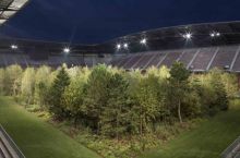 Avstriyadagi stadionda 300ta daraxt o'rnatildi
