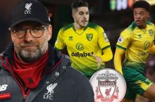 "Liverpul" "Norvich" futbolchilariga qiziqib qoldi