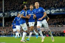 APL. "Everton" - "Brayton" 1:0