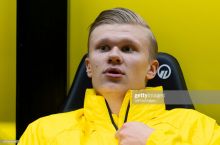 Xoland: "Ilonlarni yomon ko'raman"