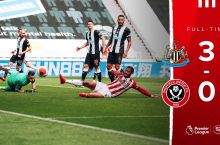APL. "Nyukasl" - "SHeffild" 3:0