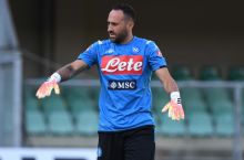 A Seriya. "Napoli"ning asosiy tarkibi malum