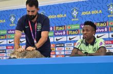 Braziliya Konfederaciyasi mushuk voqeasi tufayli 200 ming dollar jarimaga tortilishi mumkin