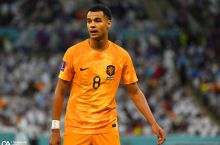 MYU Gakponi yozda sotib olish sharti bilan ijaraga olish niyatida bo'lgan. PSV esa futbolchini qishdayoq sotib yuborishni afzal ko'rdi