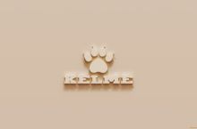 Kelme бренди Аёллар Осиё Кубоги-2026 мусобақаси учун расмий тўпни тақдим этди